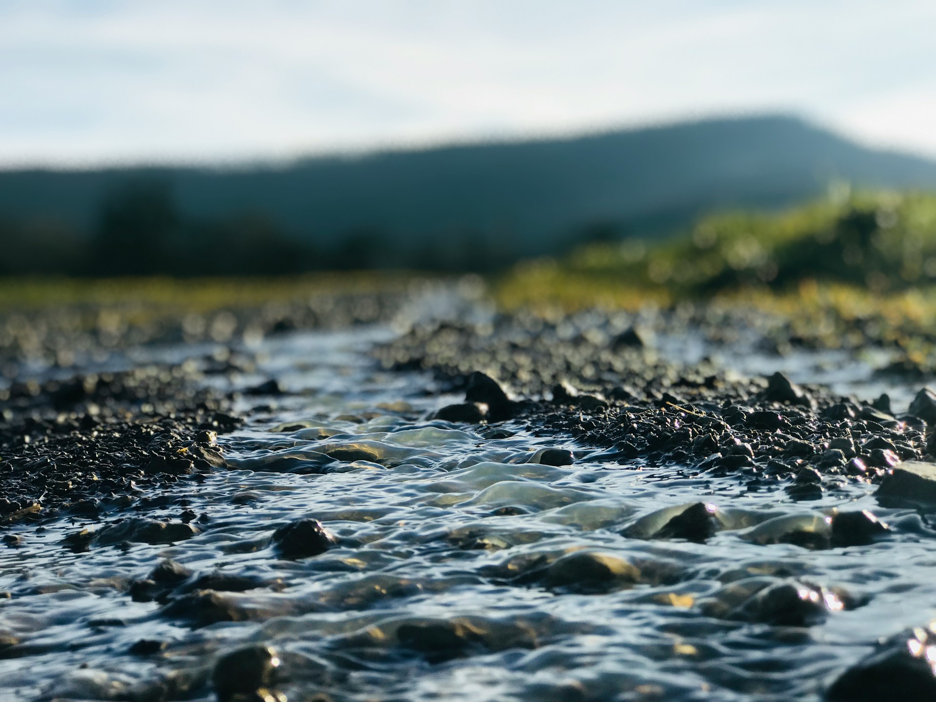 EIn Fluss fließt duch eine Landschaft. In Nahaufnahme.